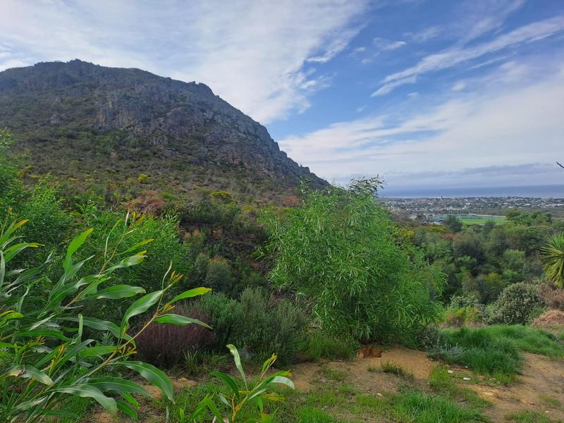 0 Bedroom Property for Sale in Chanteclair Western Cape